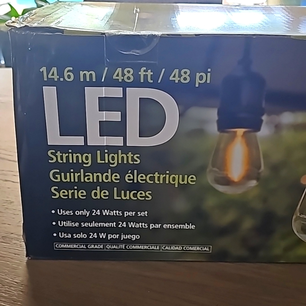 Feit Electric 48' LED Filament String Light Set